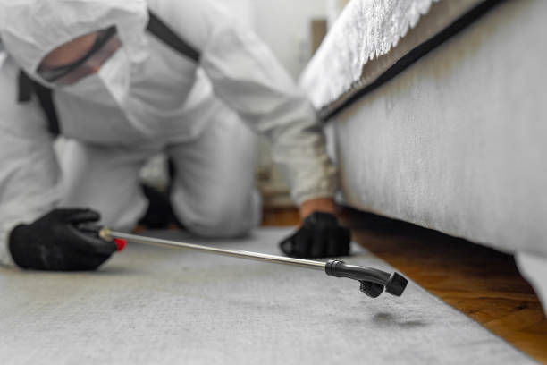 Professional Mosquito Control technician working in Salem, NC