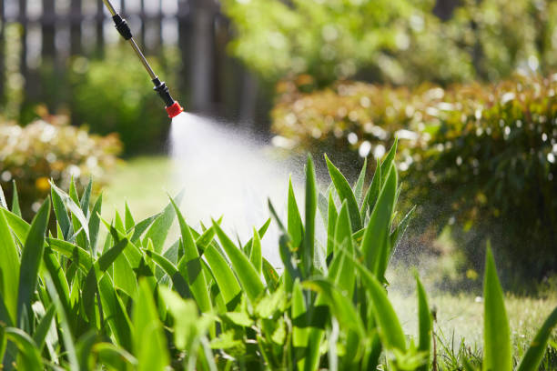 24/7 Emergency Mosquito Control experts in Salem, NC