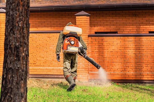 Top rated local Mosquito Control specialists in Salem, NC